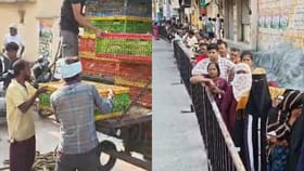 ಬೊಮ್ಮನಹಳ್ಳಿಯಲ್ಲಿ ಉಚಿತ ಕೋಳಿಗಾಗಿ ಜನರ ಸಾಗರ!