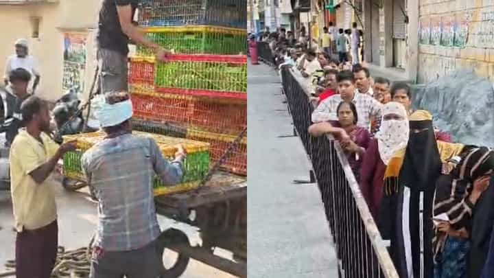 ಬೊಮ್ಮನಹಳ್ಳಿಯಲ್ಲಿ ಉಚಿತ ಕೋಳಿ ವಿತರಣೆ ಮಾಡಿದ ಕಾಂಗ್ರೆಸ್ ನಾಯಕ : ಜನರ ಸಾಗರ! ಬೊಮ್ಮನಹಳ್ಳಿಯಲ್ಲಿ ಉಚಿತ ಕೋಳಿ ವಿತರಣೆ ಮಾಡಿದ ಕಾಂಗ್ರೆಸ್ ನಾಯಕ : ಜನರ ಸಾಗರ!
