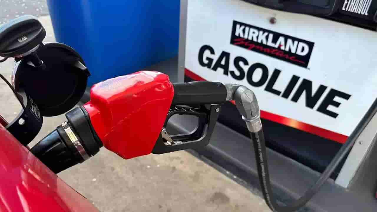 ಏಪ್ರಿಲ್ 1ರಿಂದ ಪೆಟ್ರೋಲ್ ರಫ್ತು ನಿಷೇಧಿಸಿದ ರಷ್ಯಾ; ಭಾರತಕ್ಕೇನು ಪರಿಣಾಮ?