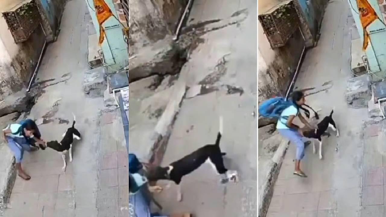 Video: ಬಾಲಕಿಯ ಮೇಲೆ ಬೀದಿ ನಾಯಿಯಿಂದ ಮಾರಣಾಂತಿಕ ದಾಳಿ