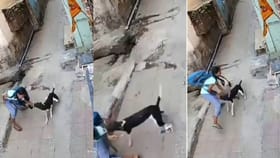 Video: ಬಾಲಕಿಯ ಮೇಲೆ ಬೀದಿ ನಾಯಿಯಿಂದ ಮಾರಣಾಂತಿಕ ದಾಳಿ