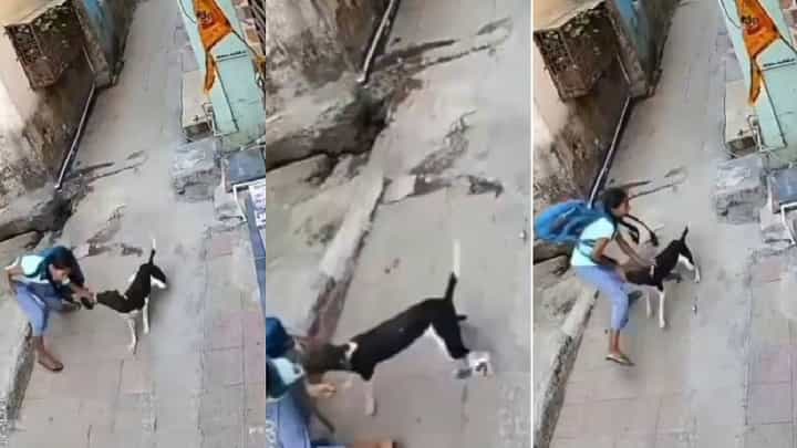 Video: ಬಾಲಕಿಯ ಮೇಲೆ ಬೀದಿ ನಾಯಿಯಿಂದ ಮಾರಣಾಂತಿಕ ದಾಳಿ Video: ಬಾಲಕಿಯ ಮೇಲೆ ಬೀದಿ ನಾಯಿಯಿಂದ ಮಾರಣಾಂತಿಕ ದಾಳಿ