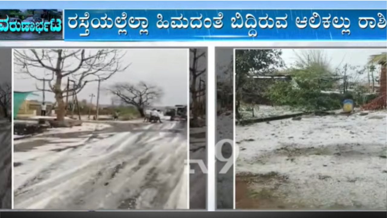 ಆಲಿಕಲ್ಲು ಮಳೆಗೆ ಕಾಶ್ಮೀರದಂತಾದ ಬಿಸಿಲನಾಡು ಕಲಬುರಗಿ: ಧಾರವಾಡ, ವಿಜಯಪುರದಲ್ಲಿ ಅಪಾರ ಬೆಳೆ ನಾಶ ಆಲಿಕಲ್ಲು ಮಳೆಗೆ ಕಾಶ್ಮೀರದಂತಾದ ಬಿಸಿಲನಾಡು ಕಲಬುರಗಿ: ಧಾರವಾಡ, ವಿಜಯಪುರದಲ್ಲಿ ಅಪಾರ ಬೆಳೆ ನಾಶ