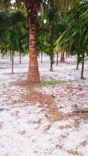 ಚಿಕ್ಕಮಗಳೂರಿನಲ್ಲಿ ಹಿಮಪಾತದಂತೆ ಭಾಸವಾದ ಆಲಿಕಲ್ಲು ಮಳೆ!