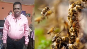 ಕೋತಿ ಕಿತಾಪತಿಗೆ ಜೀವ ಬಿಟ್ಟ ಕಾರು ಶೋರೂಂ ಮೇಲ್ವಿಚಾರಕ!