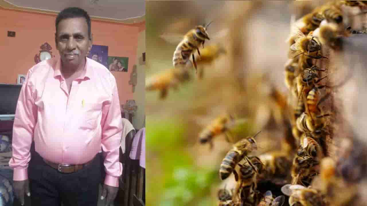 ಕೋತಿ ಕಿತಾಪತಿಗೆ ಹೆಜ್ಜೇನು ದಾಳಿ: ಜೀವ ಬಿಟ್ಟ ಕಾರು ಶೋರೂಂ ಮೇಲ್ವಿಚಾರಕ!