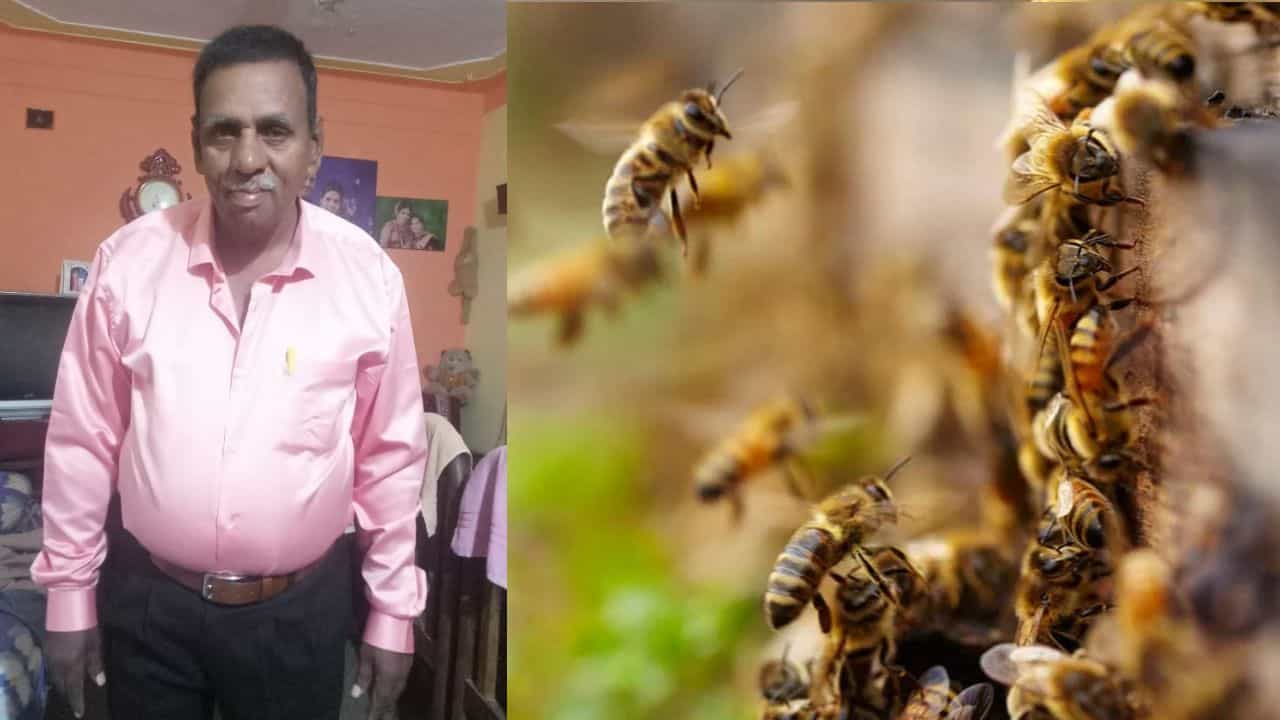 ಕೋತಿ ಕಿತಾಪತಿಗೆ ಹೆಜ್ಜೇನು ದಾಳಿ: ಜೀವ ಬಿಟ್ಟ ಕಾರು ಶೋರೂಂ ಮೇಲ್ವಿಚಾರಕ! ಕೋತಿ ಕಿತಾಪತಿಗೆ ಹೆಜ್ಜೇನು ದಾಳಿ: ಜೀವ ಬಿಟ್ಟ ಕಾರು ಶೋರೂಂ ಮೇಲ್ವಿಚಾರಕ!