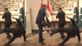 ವಿದೇಶಿ ಅತಿಥಿಗಳ ಮುಂದೆ ಎಡವಿ ಬಿದ್ದ ಪಾಕಿಸ್ತಾನ ಉಪ ಪ್ರಧಾನಿ ಇಶಾಕ್ ದಾರ್