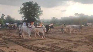 ಕಡುವಿನಹೊಸಹಳ್ಳಿಯಲ್ಲಿ ಯುಗಾದಿ ಹೊನ್ನಾರು ಸಂಭ್ರಮ, ಮೆರಗು ನೀಡಿದ ಮಂಗಳವಾದ್ಯಗಳು