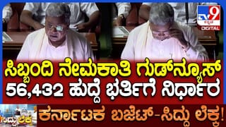 ರ‍್ಯಾಗಿಂಗ್​ನಿಂದ ನೊಂದ ಕೋತಿಮರಿಗೆ ಅಮ್ಮನಾದ ಗೊಂಬೆ!