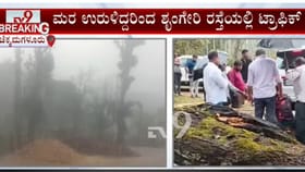 ಚಿಕ್ಕಮಗಳೂರು, ಬೀದರ್, ಬೆಳಗಾವಿ, ಮಡಿಕೇರಿ ಸೇರಿ ಕರ್ನಾಟಕದ ಹಲವೆಡೆ ಮಳೆ