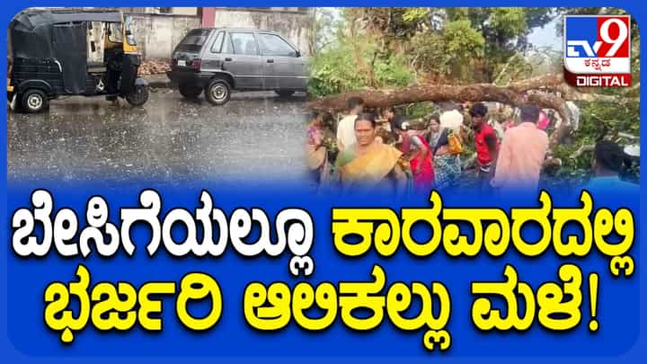 ಬಿರು ಬೇಸಿಗೆಯಲ್ಲೂ ಕಾರವಾರದಲ್ಲಿ ಭರ್ಜರಿ ಆಲಿಕಲ್ಲು ಮಳೆ! ಬಿರು ಬೇಸಿಗೆಯಲ್ಲೂ ಕಾರವಾರದಲ್ಲಿ ಭರ್ಜರಿ ಆಲಿಕಲ್ಲು ಮಳೆ!