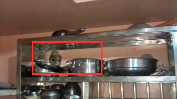 ಅಡುಗೆ ಮನೆಯಲ್ಲಿ ಹೆಡೆ ಎತ್ತಿ ಕುಳಿತಿದ್ದ ನಾಗಪ್ಪ!