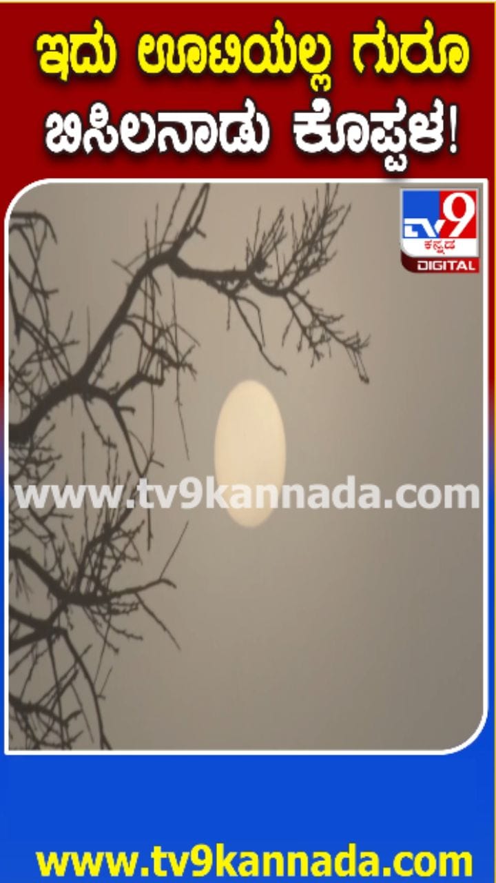 ಬಿಸಿಲ ನಾಡಲ್ಲಿ ಫುಲ್​​ ಕೂಲ್​​ ಕೂಲ್​​ ವೆದರ್​​
