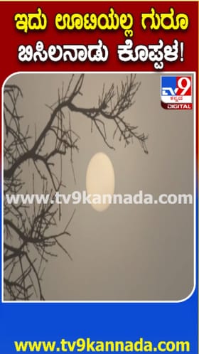 ಬಿಸಿಲ ನಾಡಲ್ಲಿ ಫುಲ್​​ ಕೂಲ್​​ ಕೂಲ್​​ ವೆದರ್​​