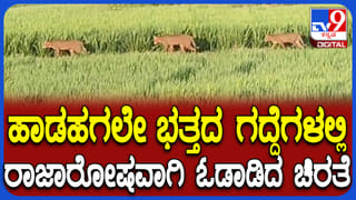 ಸಿಲಿಂಡರ್ ಶಾರ್ಟೇಜ್; ರಾಜ್​​ಕುಮಾರ್ ನೆಚ್ಚಿನ ಹೋಟೆಲ್​​ಗೆ ಬೀಗ