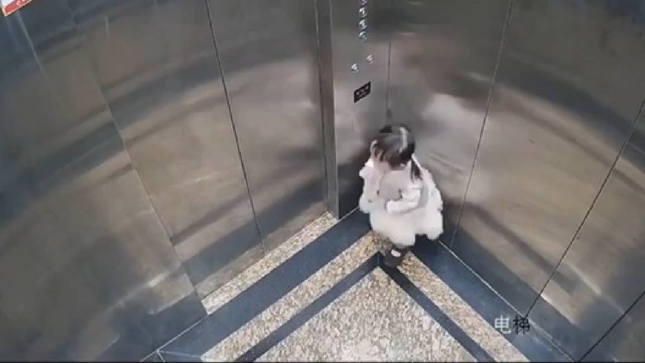 ವಿಡಿಯೋ: ಲಿಫ್ಟ್‌ನಲ್ಲಿ ಬಟನ್ ಕ್ಲಿಕ್ ಮಾಡಿ ಏನೋ ಮರೆತೆ ಎಂದು ಆಚೆ ಹೋದ ತಾಯಿ, ಲಿಫ್ಟ್ ಒಳಗೆ ಸಿಲುಕಿದ ಬಾಲಕಿ