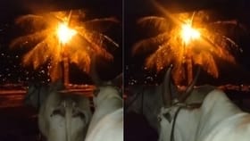 ಸಿಡಿಲು ಬಡಿದು ಹೊತ್ತಿ ಉರಿದ ತೆಂಗಿನ ಮರ