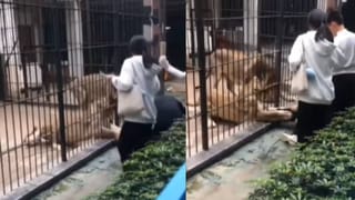 ಒಂದೇ ಮಂಟಪದಲ್ಲಿ ಇಬ್ಬರನ್ನು ಮದುವೆಯಾದ ಥೈಲ್ಯಾಂಡ್ ಮಹಿಳೆ, ವರರ ಕಡೆಯಿಂದ ಬಂದಿದ್ದು ಬರೋಬ್ಬರಿ 29 ಲಕ್ಷ ರೂ. ವಧುದಕ್ಷಿಣೆ