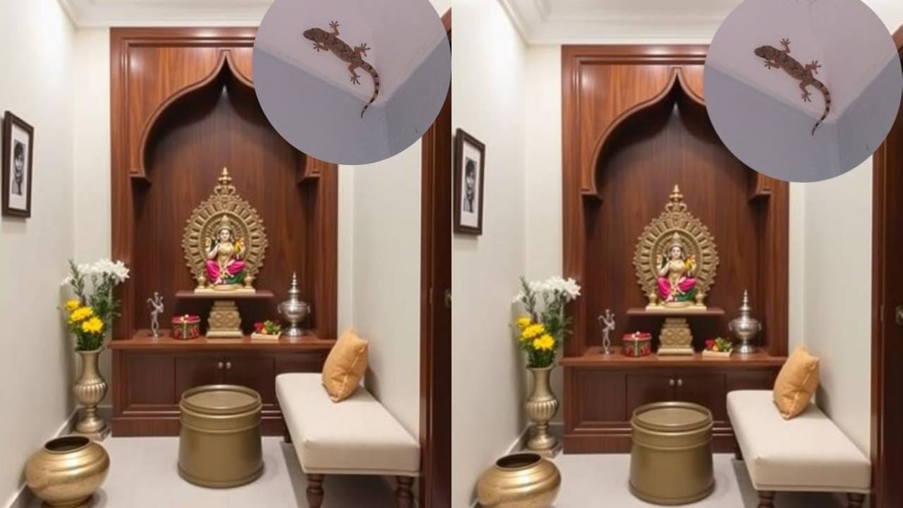 Lizard Omens: ದೇವರ ಕೋಣೆಯಲ್ಲಿ ಕಾಣಿಸಿಕೊಂಡರೆ ಏನರ್ಥ? ಶಾಸ್ತ್ರಗಳು ಹೇಳುವುದೇನು?