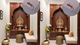 Devotion and Destiny: ಪೂಜೆ ಪುನಸ್ಕಾರ ಮಾಡುವುದರಿಂದ ನಿಜವಾಗಿಯೂ ಕಷ್ಟಗಳಿಂದ ಮುಕ್ತಿ ಸಿಗುತ್ತಾ?