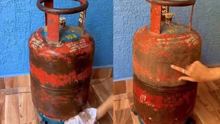 World Wildlife Day 2026: ನಮ್ಮಂತೆಯೇ ವನ್ಯಜೀವಿಗಳಿಗೂ ಸ್ವತಂತ್ರವಾಗಿ ಬದುಕುವ ಹಕ್ಕಿದೆ