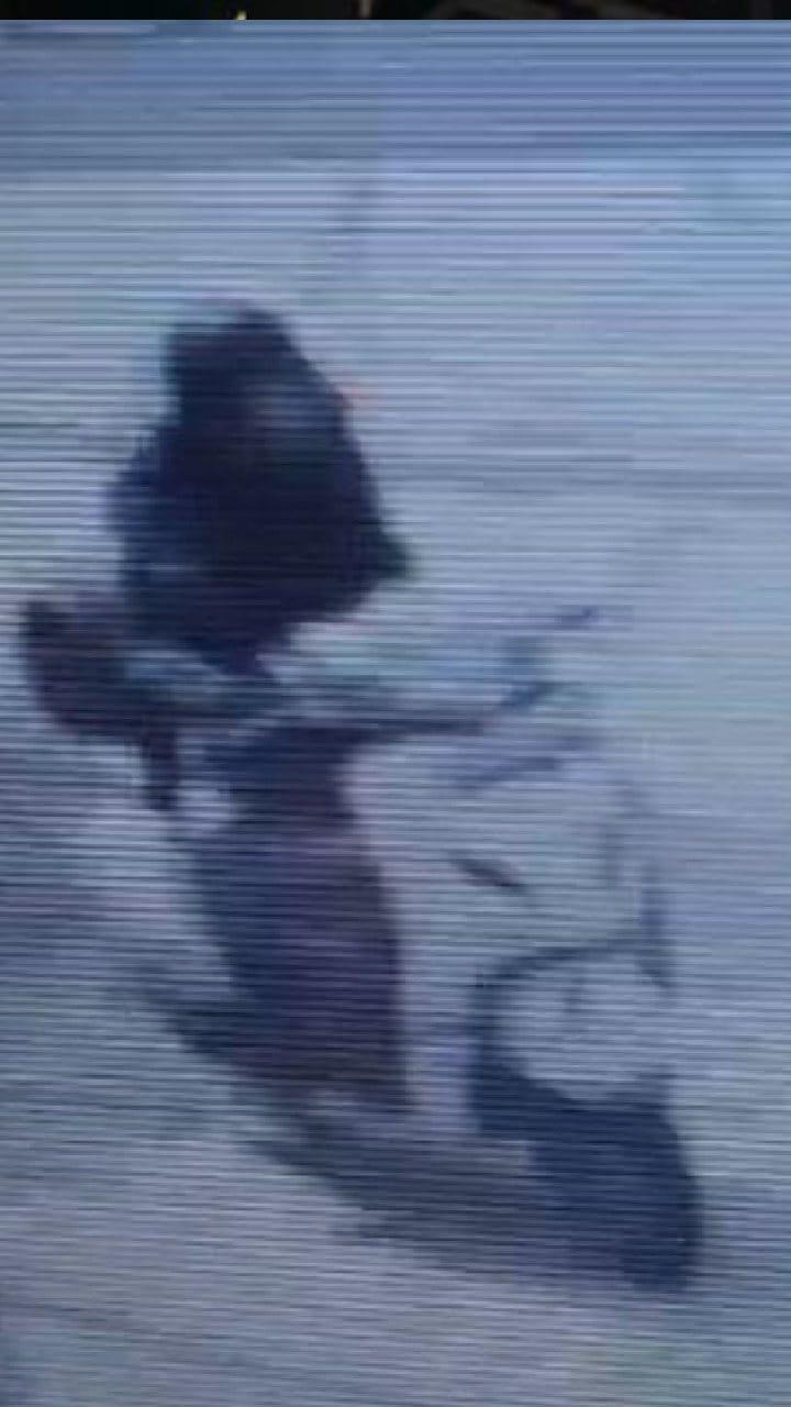 ಜಲಂಧರ್​​ನಲ್ಲಿ ಒಂದೇ ಮನೆಯಿಂದ 3 ಸಿಲಿಂಡರ್ ಕದ್ದ ಕಳ್ಳರು