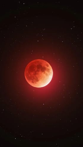 Lunar Eclipse: ಈ ವರ್ಷದ ಮೊದಲ ಚಂದ್ರ ಗ್ರಹಣ ಹೀಗಿತ್ತು