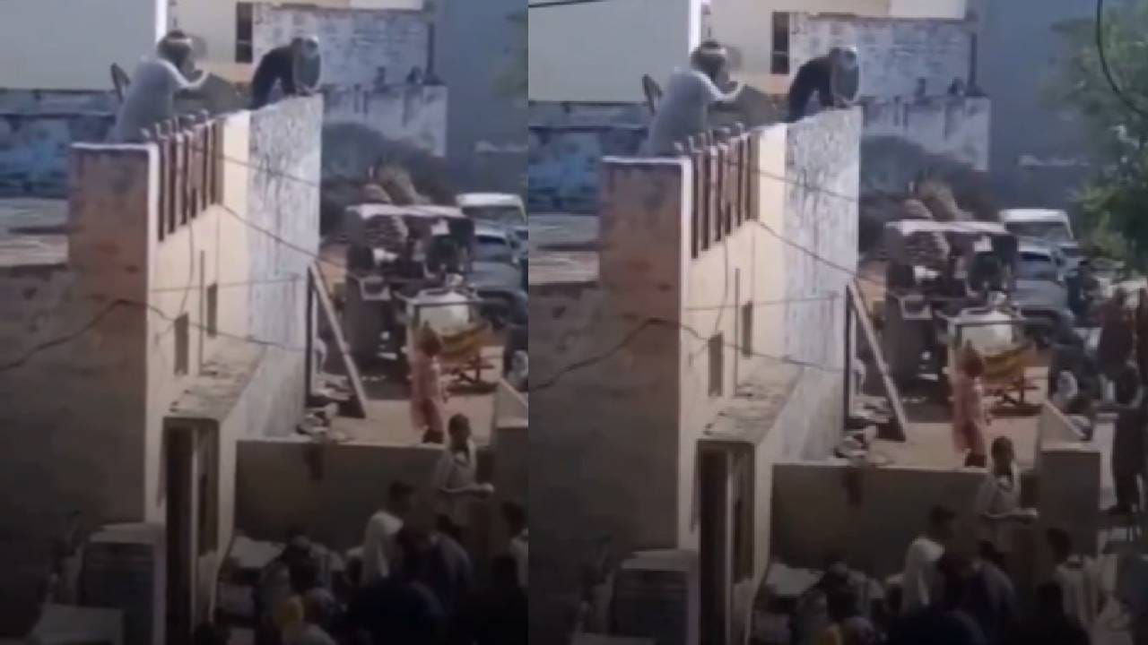 Video: ಮಾಡಿದ್ದುಣ್ಣೋ ಮಹಾರಾಯ, ಹೋಳಿ ಆಚರಿಸುತ್ತಿದ್ದವರ ಮೇಲೆ ಕಸ ಸುರಿಯಲು ಹೋಗಿ ಏನಾಯ್ತು ನೋಡಿ