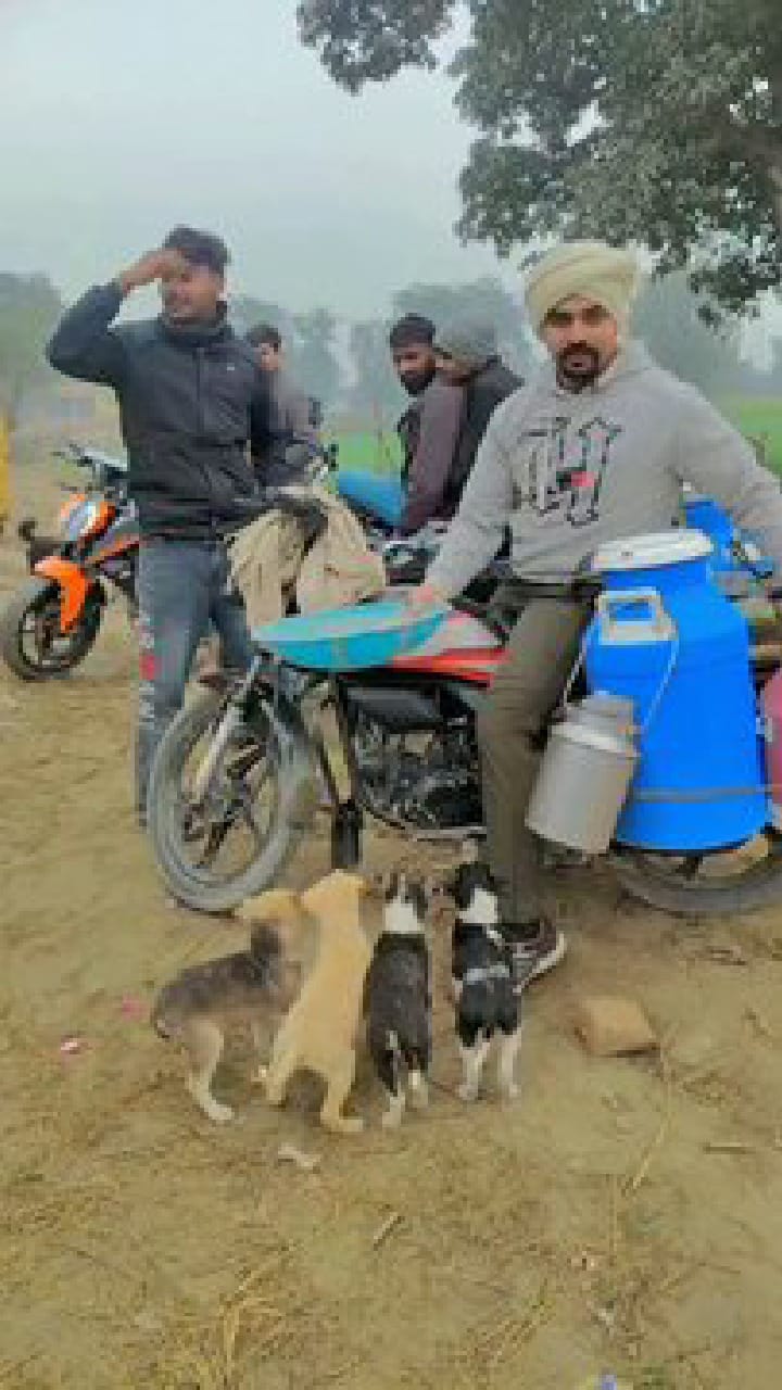 ದಿನವೂ ಮೂಕಪ್ರಾಣಿಗಳಿಗೆ ಹಾಲುಣಿಸುವ ಯುವಕ; ವಿಡಿಯೋ ನೋಡಿ