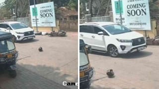 ರಾಯಚೂರಿನಲ್ಲಿ ಸಿಡಿಲು ಬಡಿದು ಹೊತ್ತಿ ಉರಿದ ತೆಂಗಿನ ಮರ; ದಿಗಿಲು ಹುಟ್ಟಿಸುವ ದೃಶ್ಯ!