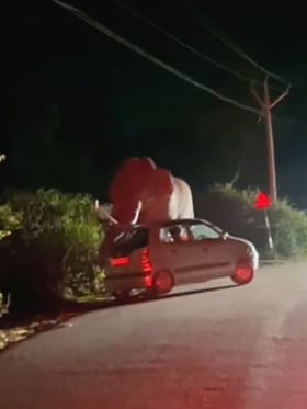 ಪ್ರವಾಸಿಗರ ಕಾರು ಪುಡಿಪುಡಿ ಮಾಡಿದ ಪಡೆಯಪ್ಪ