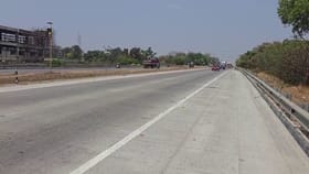 ನೈಸ್ ರೋಡ್ ಬನ್ನೇರುಘಟ್ಟ ರಸ್ತೆಯಲ್ಲಿ ವಾಹನ ಡಿಕ್ಕಿಯಾಗಿ ಚಿರತೆ ಸಾವು