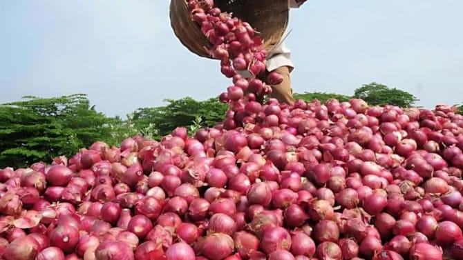ಮಧ್ಯಪ್ರಾಚ್ಯದ ವಾರ್​​ ಎಫೆಕ್ಟ್​​: ರೈತರ ಕಣ್ಣಲ್ಲಿ ನೀರು ತರಿಸಿದ ಈರುಳ್ಳಿ