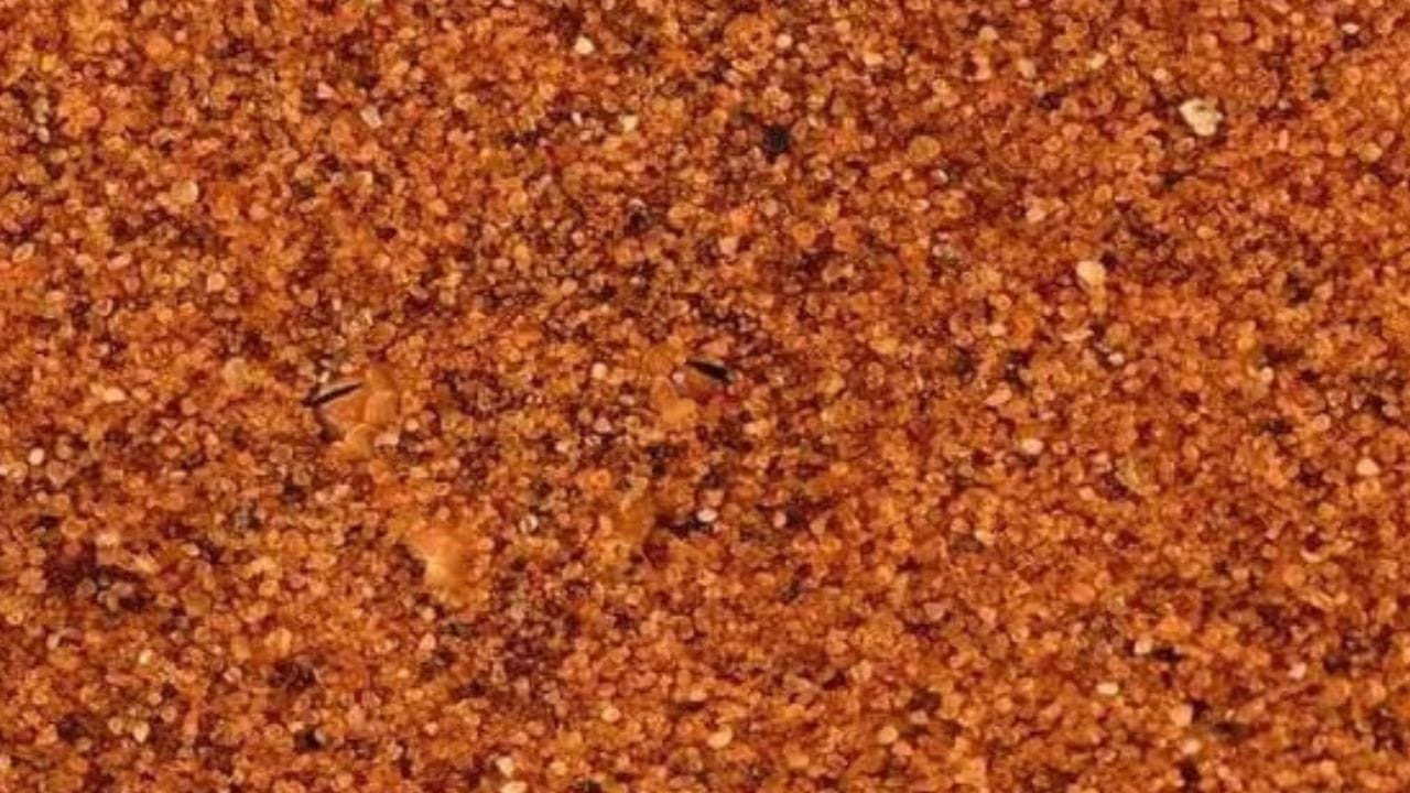 ಆಪ್ಟಿಕಲ್ ಇಲ್ಯೂಷನ್: ಹದ್ದಿನ ಕಣ್ಣು ನಿಮ್ಮದಾಗಿದ್ರೆ ಮರಳಿನ ರಾಶಿಯಲ್ಲಿ ಅಡಗಿ ಕುಳಿತಿರುವ ಹಾವನ್ನು ಕಂಡು ಹಿಡಿಯುವಿರಾ