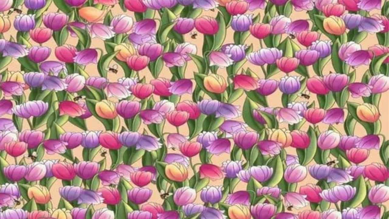 Optical Illusion: ಜಸ್ಟ್ 10 ಸೆಕೆಂಡುಗಳಲ್ಲಿ ಹೂವುಗಳ ನಡುವೆ ಇರುವ ಗಂಟೆಯನ್ನು ಕಂಡು ಹಿಡಿಯಬಲ್ಲಿರಾ Optical Illusion: ಜಸ್ಟ್ 10 ಸೆಕೆಂಡುಗಳಲ್ಲಿ ಹೂವುಗಳ ನಡುವೆ ಇರುವ ಗಂಟೆಯನ್ನು ಕಂಡು ಹಿಡಿಯಬಲ್ಲಿರಾ