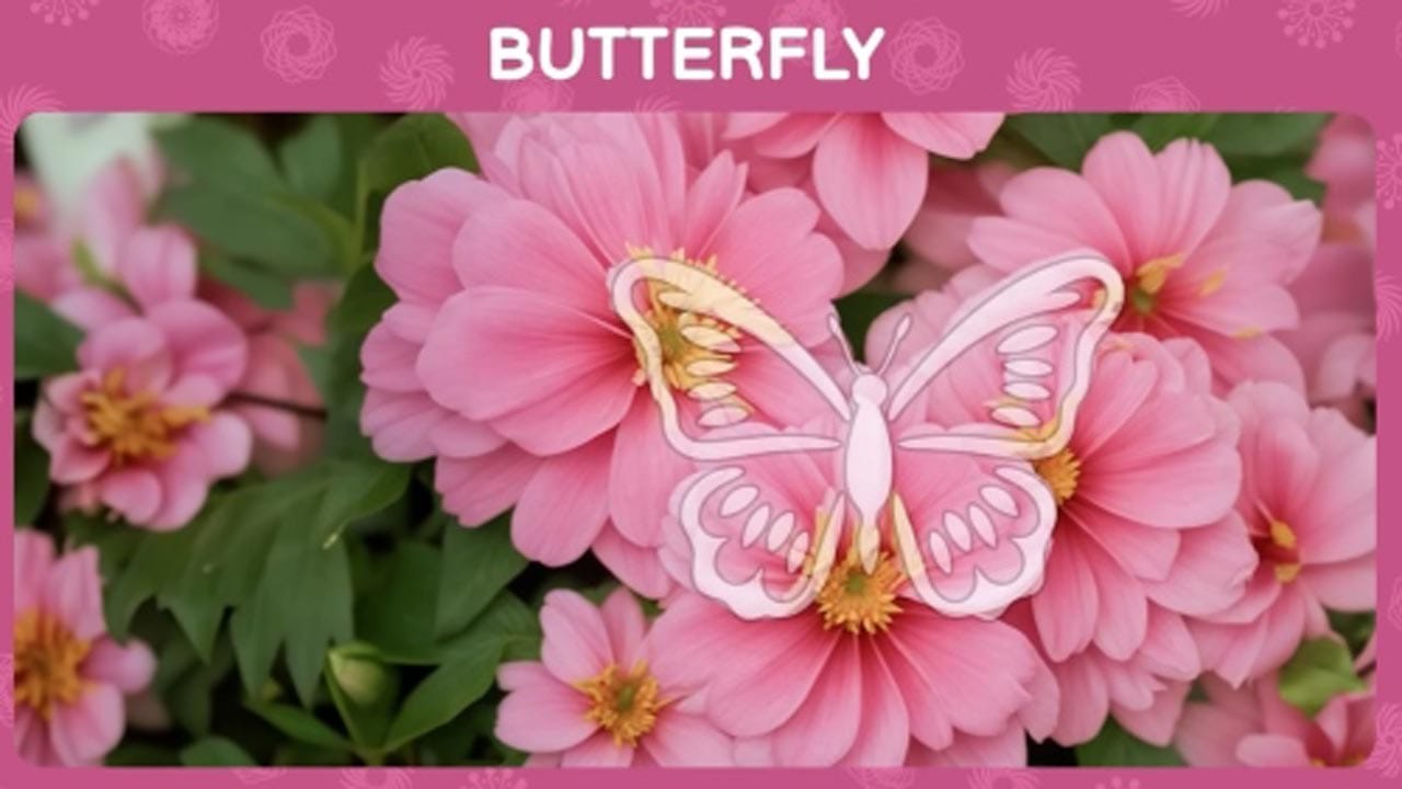 Optical Illusion Answer