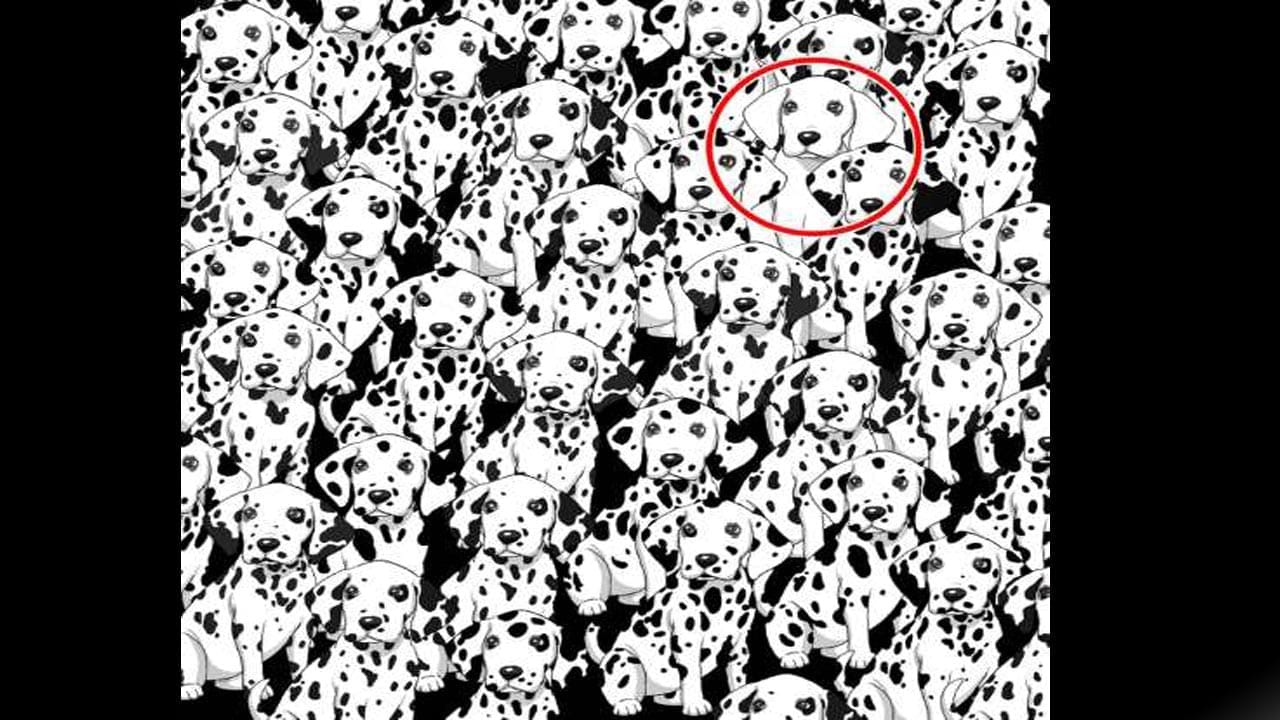 Optical Illusion Answer