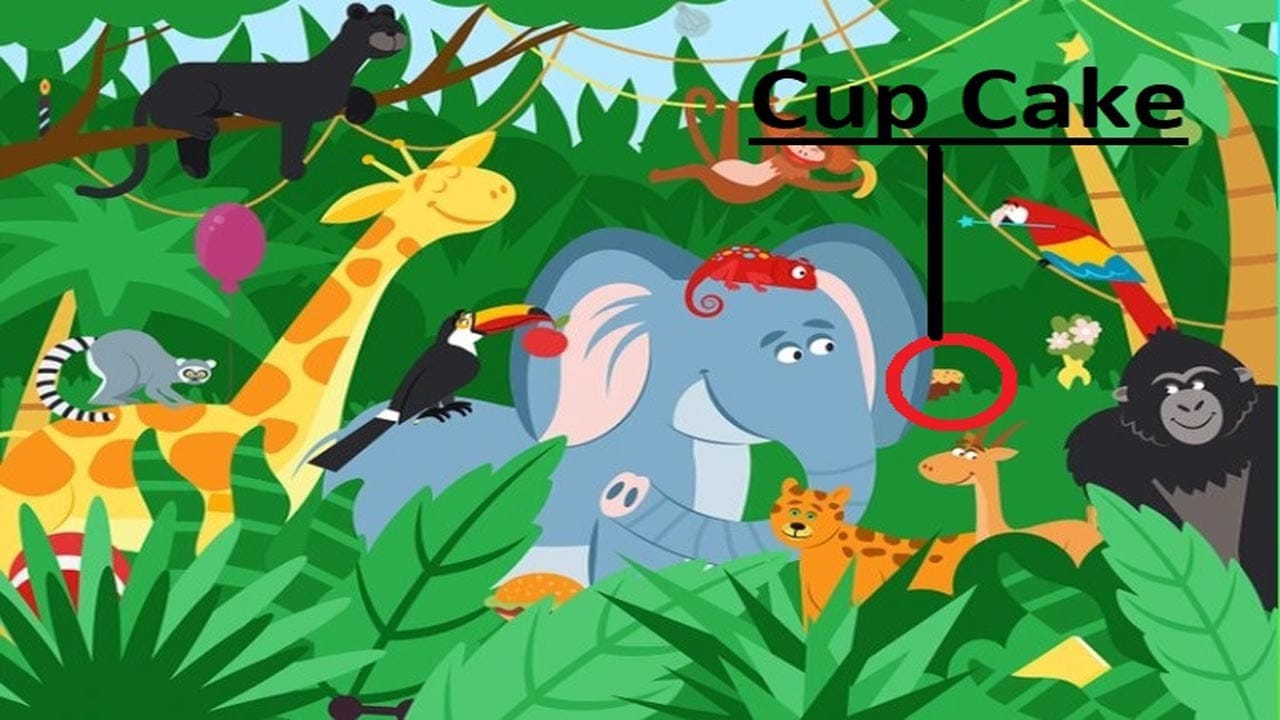 Optical Illusion Answer