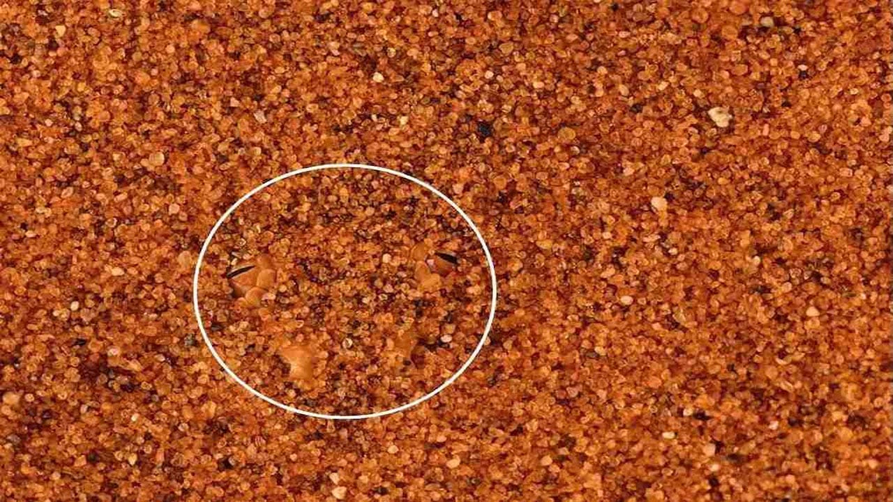 Optical Illusion Answer