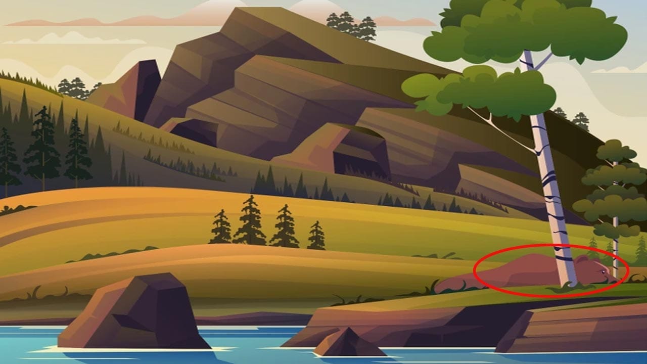 Optical Illusion Answer