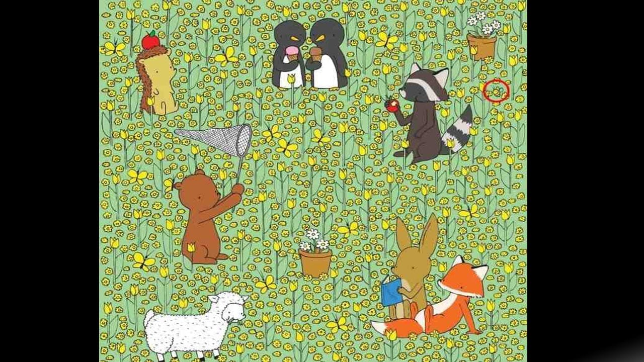 Optical Illusion Answer