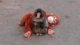 IND vs ENG: ಸೆಮೀಸ್​ಗೂ ಮುನ್ನ ಸಿದ್ಧಿ ವಿನಾಯಕನ ಪಾದಕ್ಕೆರಗಿದ ಟೀಂ ಇಂಡಿಯಾ ಆಟಗಾರರು