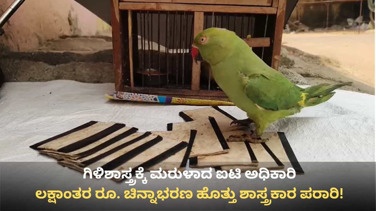 ಹೇಳಿದ್ದು ಗಿಳಿಶಾಸ್ತ್ರ, ಇಕ್ಕಿದ್ದು ದುಡ್ಡು, ಚಿನ್ನಾಭರಣಕ್ಕೆ ಗಾಳ! ಐಟಿ ಅಧಿಕಾರಿಗೆ ಲಕ್ಷಾಂತರ ರೂ. ಪಂಗನಾಮ ಹೇಳಿದ್ದು ಗಿಳಿಶಾಸ್ತ್ರ, ಇಕ್ಕಿದ್ದು ದುಡ್ಡು, ಚಿನ್ನಾಭರಣಕ್ಕೆ ಗಾಳ! ಐಟಿ ಅಧಿಕಾರಿಗೆ ಲಕ್ಷಾಂತರ ರೂ. ಪಂಗನಾಮ