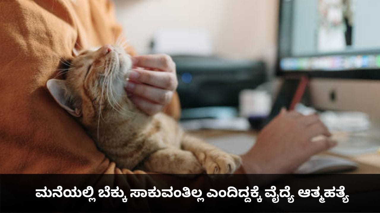 ಅಪ್ಪ-ಅಮ್ಮ ಮನೆಯಲ್ಲಿ ಬೆಕ್ಕು ಸಾಕುವಂತಿಲ್ಲ ಎಂದಿದ್ದಕ್ಕೆ ವೈದ್ಯೆ ಆತ್ಮಹತ್ಯೆ