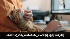 ಮನೆಯಲ್ಲಿ ಬೆಕ್ಕು ಸಾಕುವಂತಿಲ್ಲ ಎಂದಿದ್ದಕ್ಕೆ ವೈದ್ಯೆ ಆತ್ಮಹತ್ಯೆ