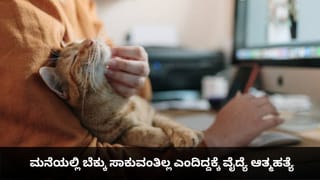 ಇರಾನ್ ಅಧ್ಯಕ್ಷರೊಂದಿಗೆ ಮಾತನಾಡಿದ ಪ್ರಧಾನಿ ಮೋದಿ; ನೌರುಜ್​ನಲ್ಲಿ ಮೂಲಸೌಕರ್ಯದ ಮೇಲಿನ ದಾಳಿಗೆ ಖಂಡನೆ