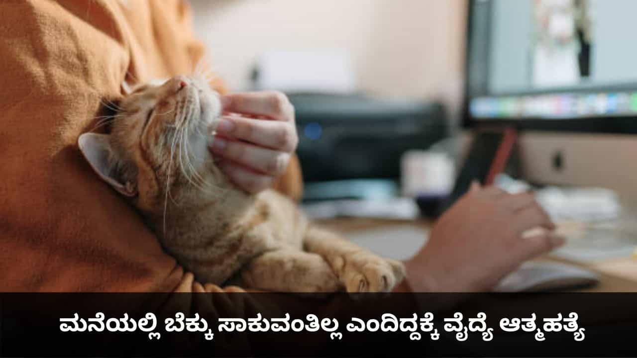 ಅಪ್ಪ-ಅಮ್ಮ ಮನೆಯಲ್ಲಿ ಬೆಕ್ಕು ಸಾಕುವಂತಿಲ್ಲ ಎಂದಿದ್ದಕ್ಕೆ ವೈದ್ಯೆ ಆತ್ಮಹತ್ಯೆ ಅಪ್ಪ-ಅಮ್ಮ ಮನೆಯಲ್ಲಿ ಬೆಕ್ಕು ಸಾಕುವಂತಿಲ್ಲ ಎಂದಿದ್ದಕ್ಕೆ ವೈದ್ಯೆ ಆತ್ಮಹತ್ಯೆ