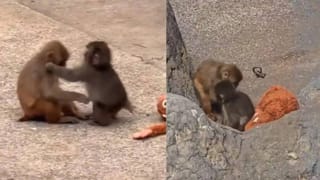 ಹರಿತವಾದ ಆಯುಧಗಳೊಂದಿಗೆ ಬಂದು ಪೊಲೀಸರನ್ನೇ ಹೆದರಿಸಿ ಓಡಿಸಿದ ಗೂಂಡಾಗಳು, ಆಮೇಲೆ ನಡೆದಿದ್ದೇ ಬೇರೆ