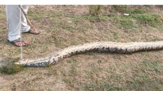 ಇದೆಂಥಾ ಪ್ರಶ್ನೆ? ಪತ್ರಕರ್ತರ ಪ್ರಶ್ನೆಗೆ ಕೆರಳಿದ ಇಶಾನ್ ಕಿಶನ್; ವಿಡಿಯೋ ವೈರಲ್